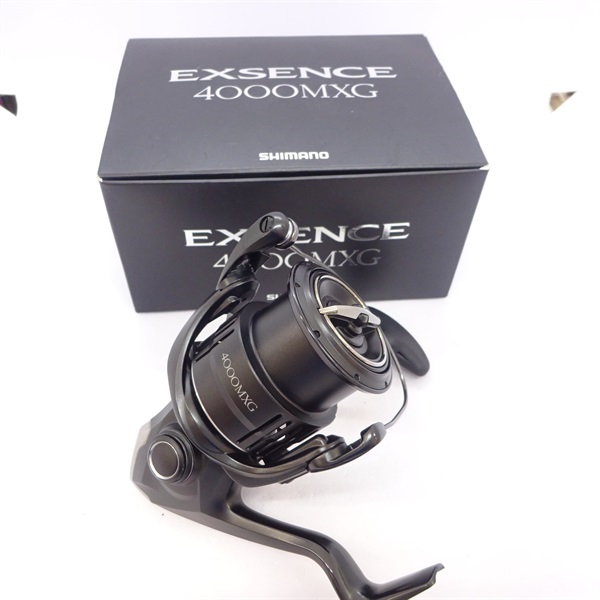 ２１エクスセンス４０００ＭＸＧ